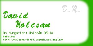 david molcsan business card